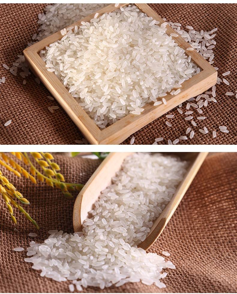 农谷鲜稻香米长粒大米10斤不抛光无农残